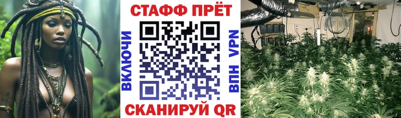 Все наркотики Гаджиево Канабис  Альфа ПВП  Меф  Кокаин 