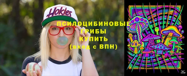 спиды Алексин