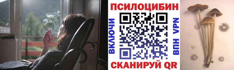 Псилоцибиновые грибы Cubensis  Гаджиево 